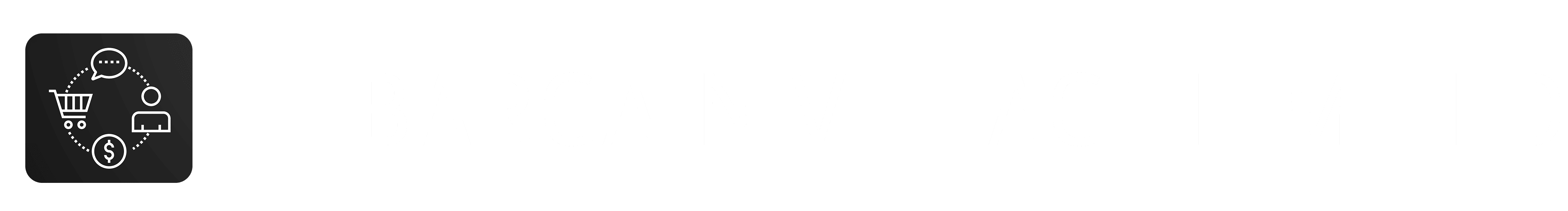 Professional Website Builder Logo